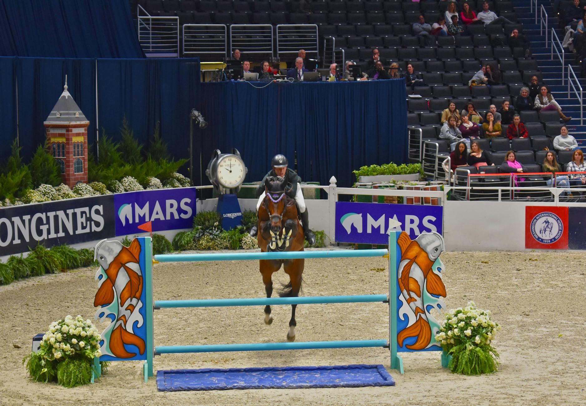 Koń gniady z jeźdźcem skacze przez przeszkodę na parkurze