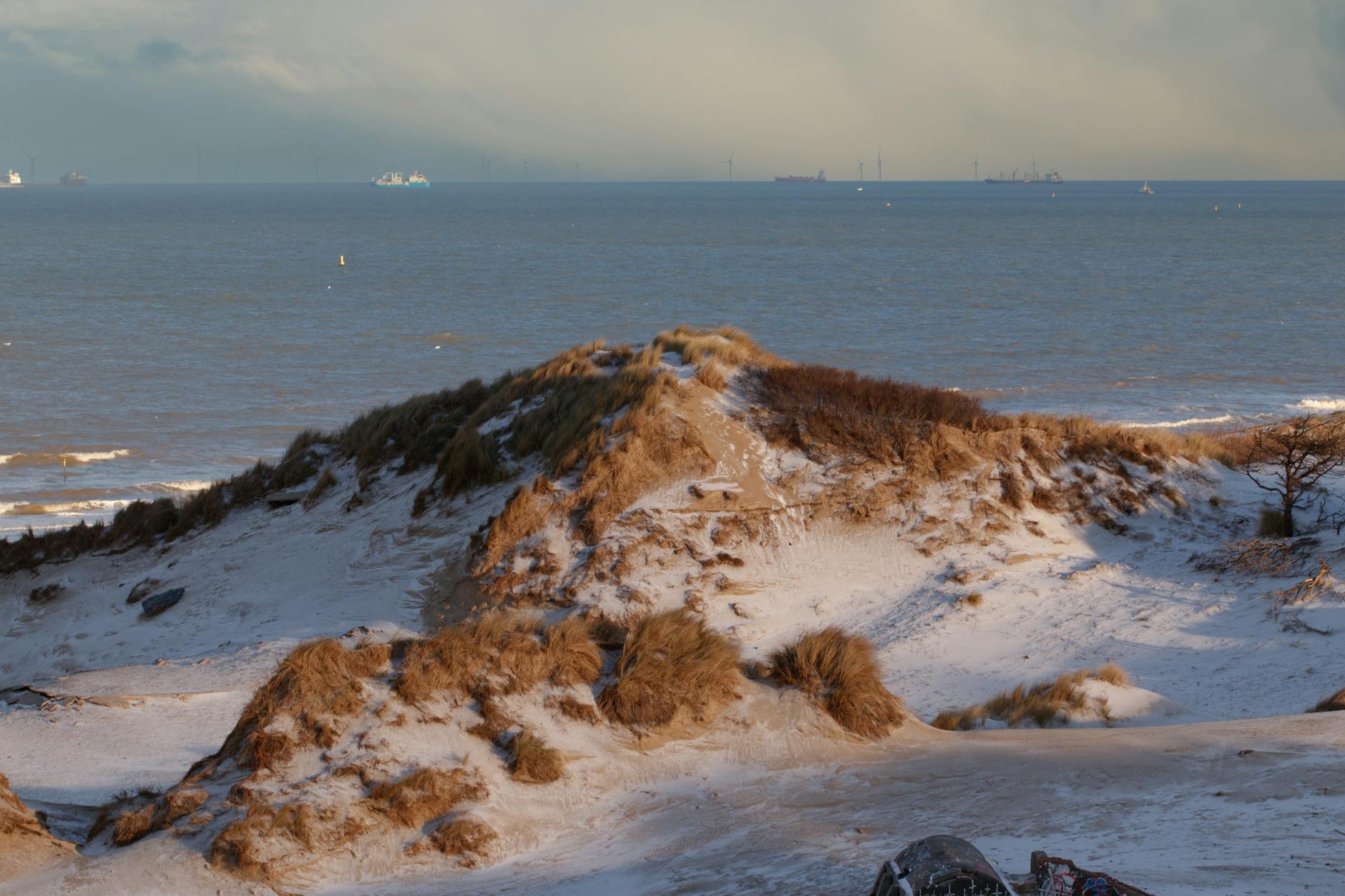 Zimowe zaśnieżone wydmy nad morzem w Holandii